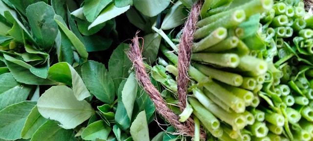 Plant-Based Nutrition: Benefits, Easy Tips & Why It's Trending in 2025