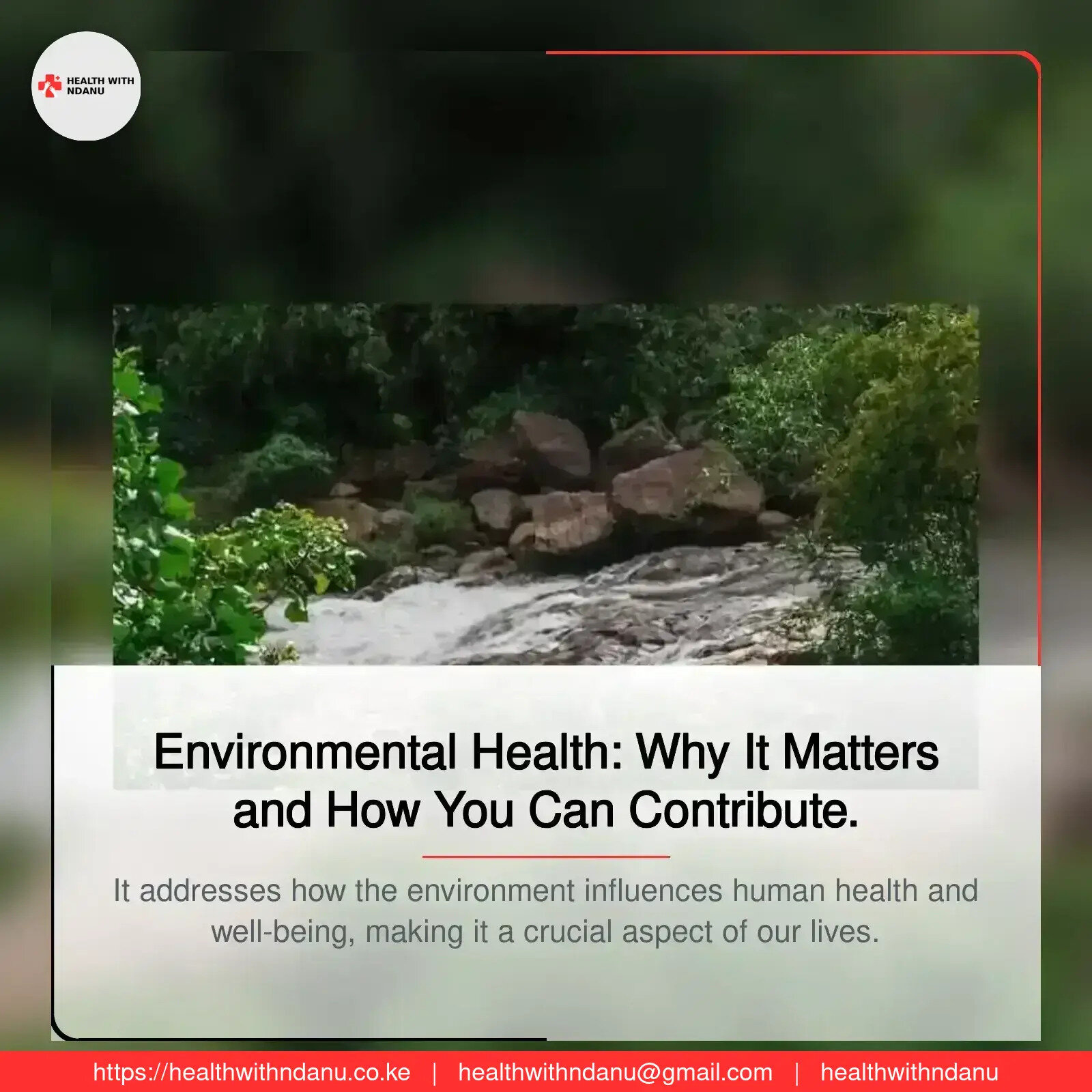 Environmental Health: Why It Matters and How You Can Contribute.