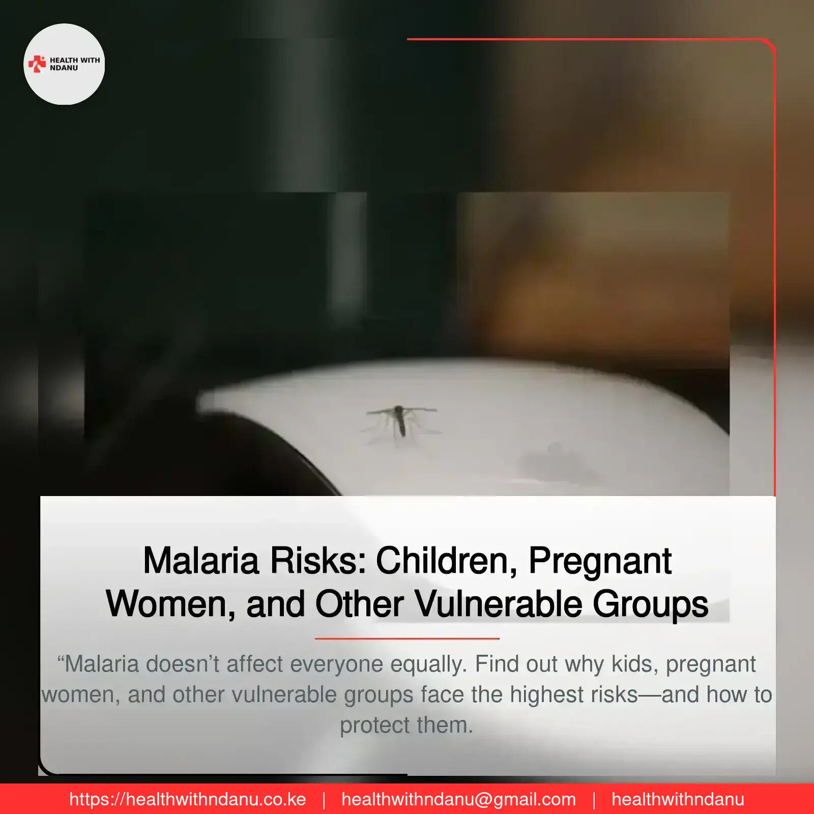 Malaria Risks: Children, Pregnant Women, and Other Vulnerable Groups