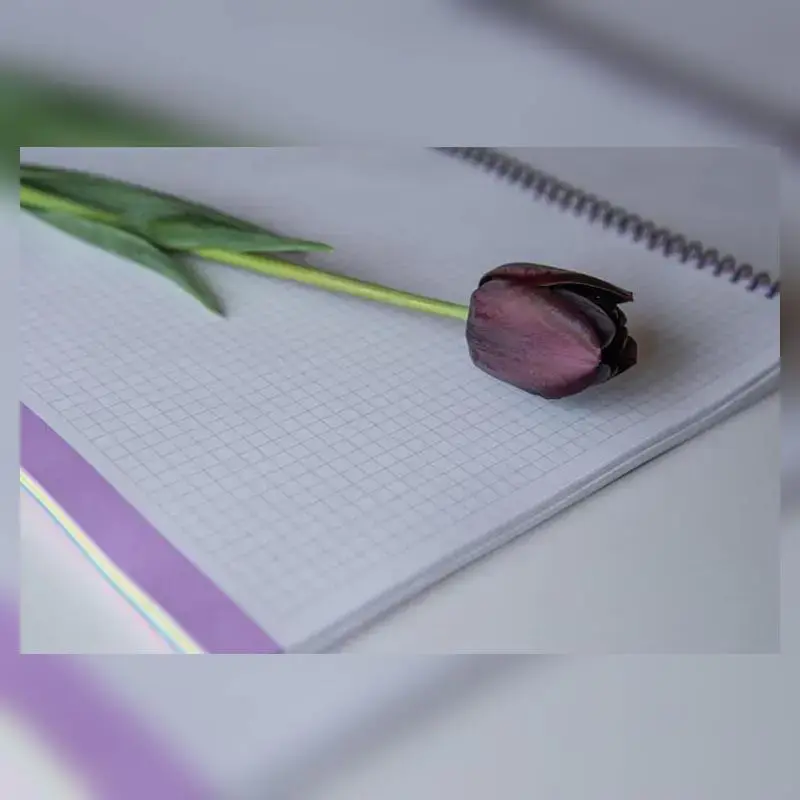 What is Lupus? Understanding This Complex Autoimmune Disease