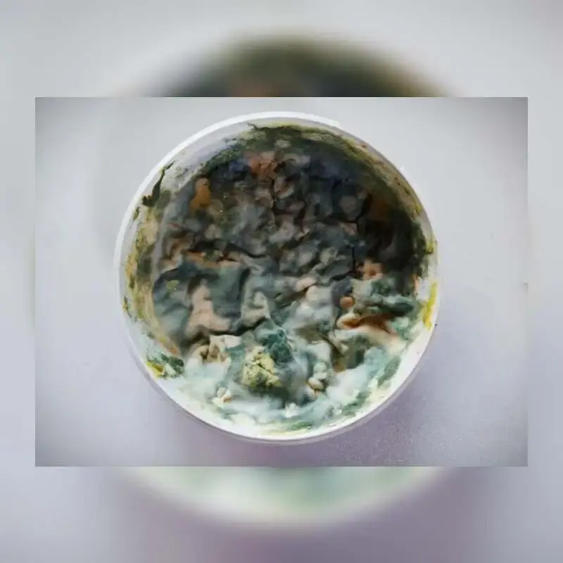 Food Poisoning and How to Stay Safe