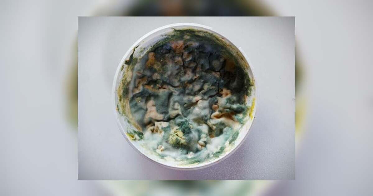 Food Poisoning and How to Stay Safe