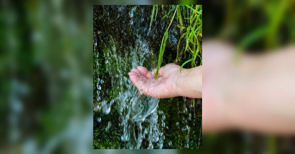 Why Water Quality Matters: A Simple Guide for Every Community