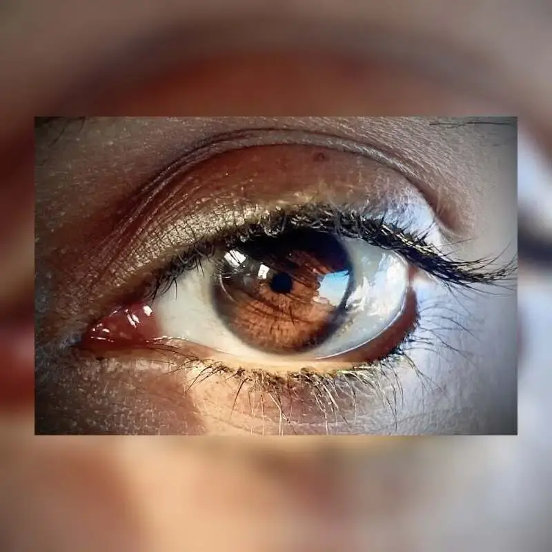 Image for blog titled Best Vitamins and Supplements to Protect Your Eyesight Naturally